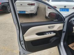 Wuling Bingo PLUS 510km Flagship Edition - ფოტო 12