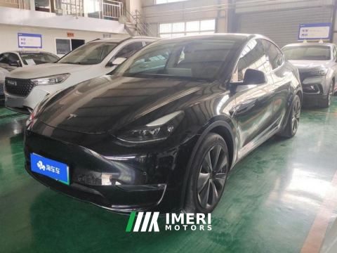 2021 Tesla Model Y Standard endurance rear-wheel drive - ავტომობილი ჩინეთიდან