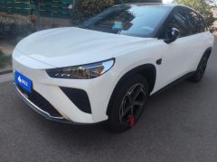 Neta L EREV Edition 310km Edition - ფოტო 1