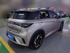 BYD Dolphin 405km Stylish Edition - ფოტო 2