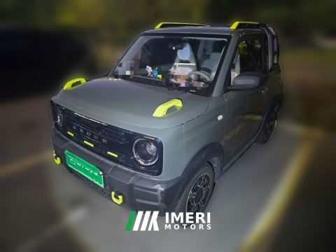2025 Geely Panda 210km - car from China