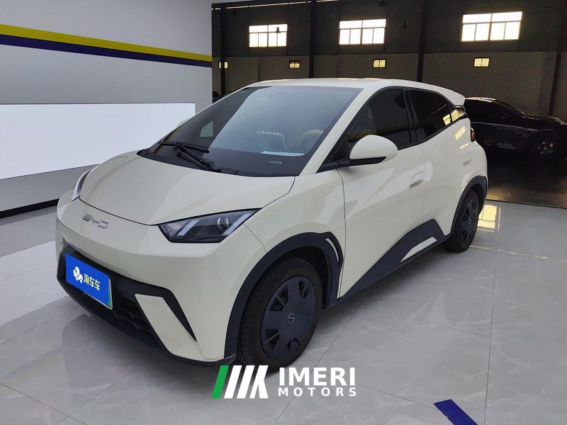 BYD Seagull 305km Vitality Edition