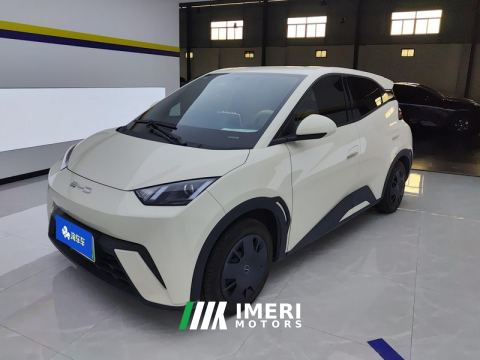 2023 BYD Seagull 305km Vitality Edition - car from China