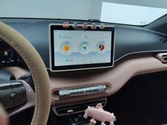 BYD Seagull 305km Vitality Edition - photo 17
