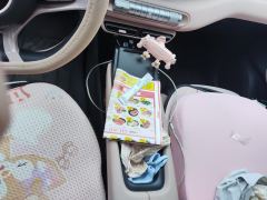 BYD Seagull 305km Vitality Edition - photo 19