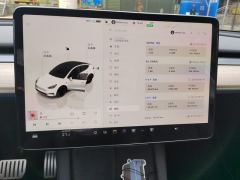 Tesla Model Y 615km Performance High-Performance AWD Version - фото 20