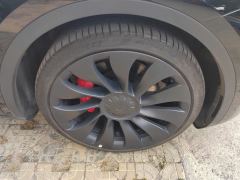 Tesla Model Y 615km Performance High-Performance AWD Version - фото 6