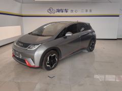 BYD Dolphin 405km Stylish Edition - photo 1