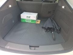 Roewe Feifan F7 602km Edition - photo 7