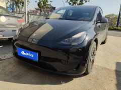 Tesla Model Y 545km Rear-Wheel Drive Edition - фото 1