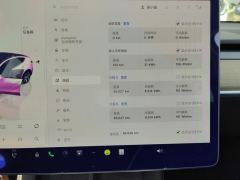 Tesla Model Y 545km Rear-Wheel Drive Edition - фото 20