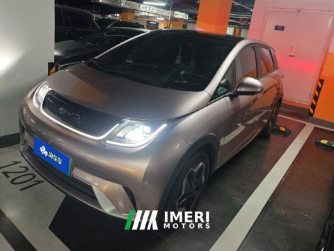 2021 BYD Dolphin 405km Stylish Edition - ავტომობილი ჩინეთიდან