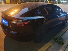 Tesla Model 3 556km Rear-Wheel Drive Edition - photo 2