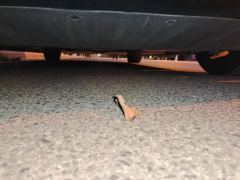 Tesla Model 3 556km Rear-Wheel Drive Edition - photo 8