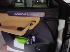 Leapmotor C11 BEV 580 rear drive premium edition - photo 12