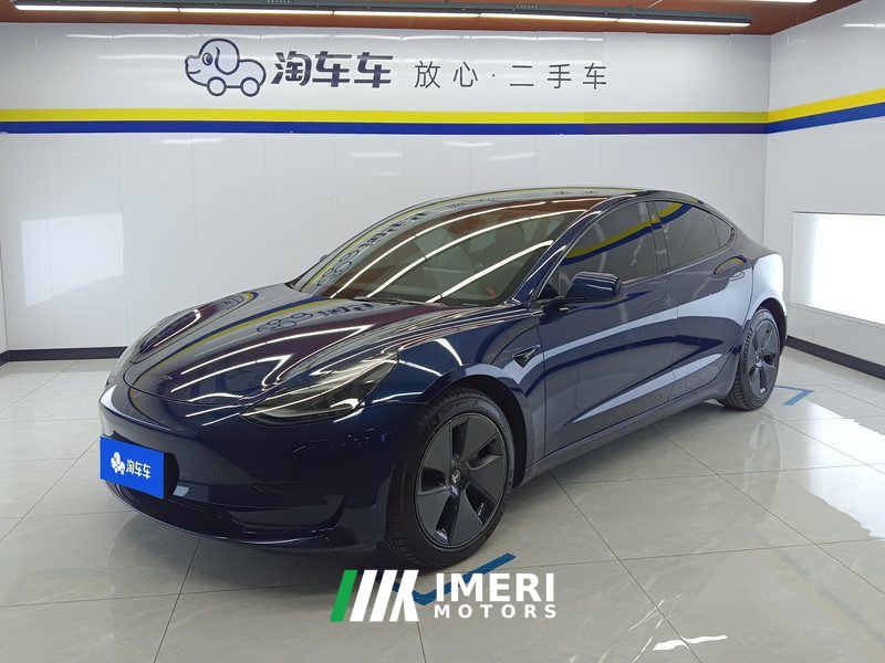 Tesla Model 3 Standard Range Edition 3D1