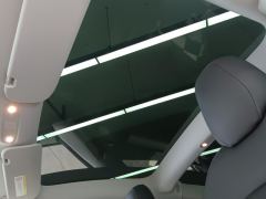 Tesla Model 3 Standard Range Edition 3D1 - ფოტო 15