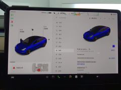 Tesla Model 3 Standard Range Edition 3D1 - ფოტო 17
