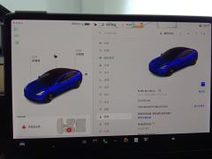 Tesla Model 3 Standard Range Edition 3D1 - ფოტო 20