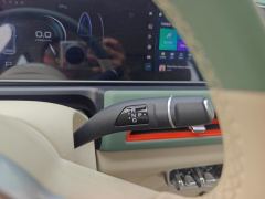 Ora Great Wall Good Cat 401km Luxury Edition Motor 105kW - ფოტო 19