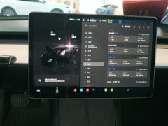 Tesla Model 3 556km Rear-Wheel Drive Edition - ფოტო 20