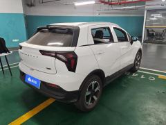 Geely E Fireflies E 320km 5 - ფოტო 2