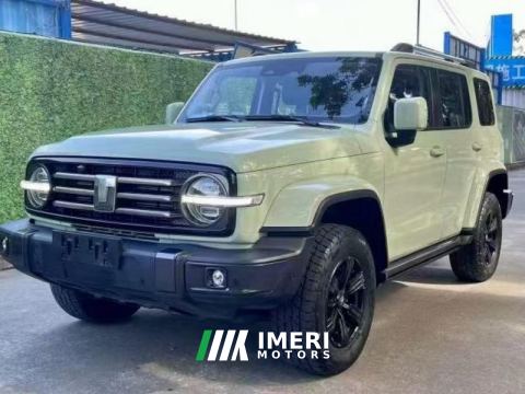2021 Tank 300 Urban Edition 2.0T Manual - car from China
