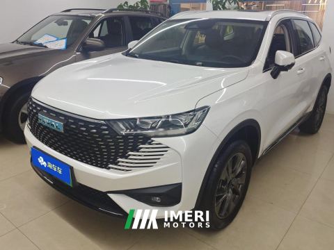 2023 Haval H6 PHEV DHT—PHEV 110 - ავტომობილი ჩინეთიდან