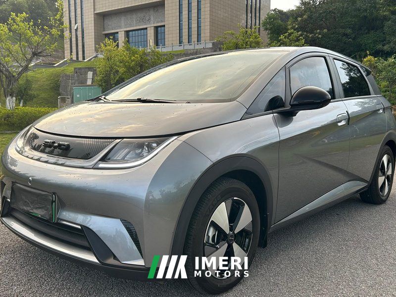 BYD Dolphin 420km Free Version - ავტომობილი ჩინეთიდან