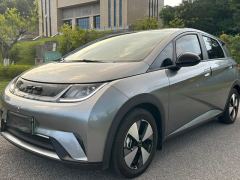 BYD Dolphin 420km Free Version - ფოტო 1