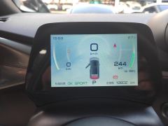 BYD Dolphin 420km Free Version - ფოტო 20
