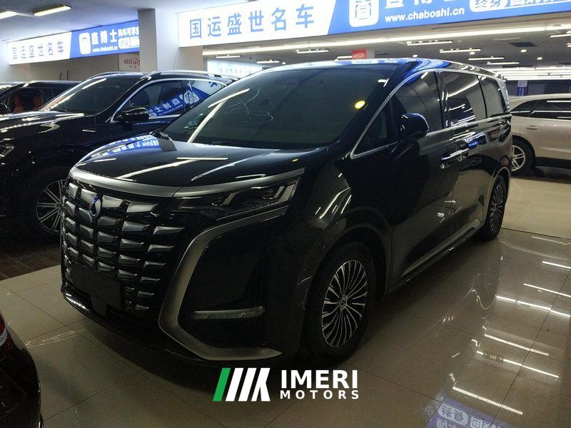 Denza D9 DM-i970AWD Version - car from China