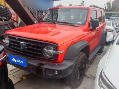 Tank 300 Off-Road Edition 2.0T Conqueror - photo 1