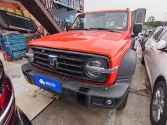 Tank 300 Off-Road Edition 2.0T Conqueror - photo 3