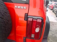 Tank 300 Off-Road Edition 2.0T Conqueror - photo 5