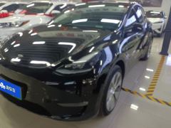 Tesla Model Y 688km Long Range AWD - ფოტო 1