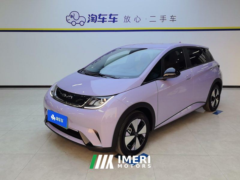 BYD Dolphin 420km Free Version