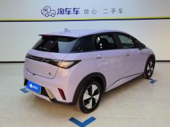 BYD Dolphin 420km Free Version - ფოტო 2