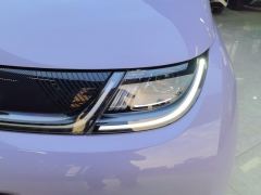 BYD Dolphin 420km Free Version - ფოტო 4