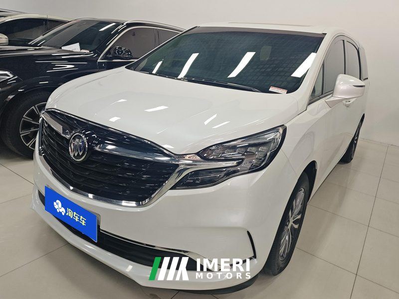 Buick GL8 ES Luxury Edition 653T Comfort Edition 7-seater