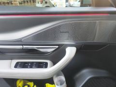 XPeng P7 P7i 702 Rear-wheel drive Max - ფოტო 13