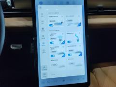 XPeng P5 600P - ფოტო 17