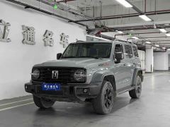 Tank 300 Off-Road Edition 2.0T Conqueror - photo 1