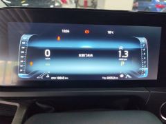 Ford Tourneo 2.0T Edition - ფოტო 20