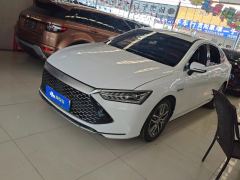 BYD Qin PLUS DM-i 55km Flagship - photo 1