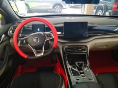 BYD Qin PLUS DM-i 55km Flagship - photo 16