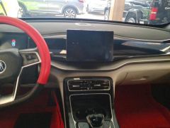 BYD Qin PLUS DM-i 55km Flagship - photo 17