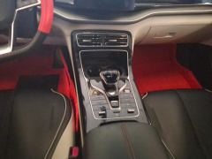 BYD Qin PLUS DM-i 55km Flagship - photo 19