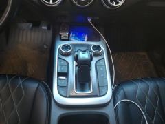Tank 300 Off-Road Edition 2.0T Challenger - ფოტო 19