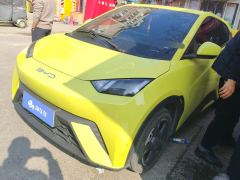 BYD Seagull 405km Flying Edition - ფოტო 1